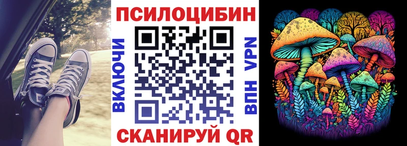 Псилоцибиновые грибы MAGIC MUSHROOMS  купить наркоту  Перевоз 